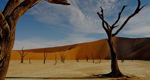 Venter Tours